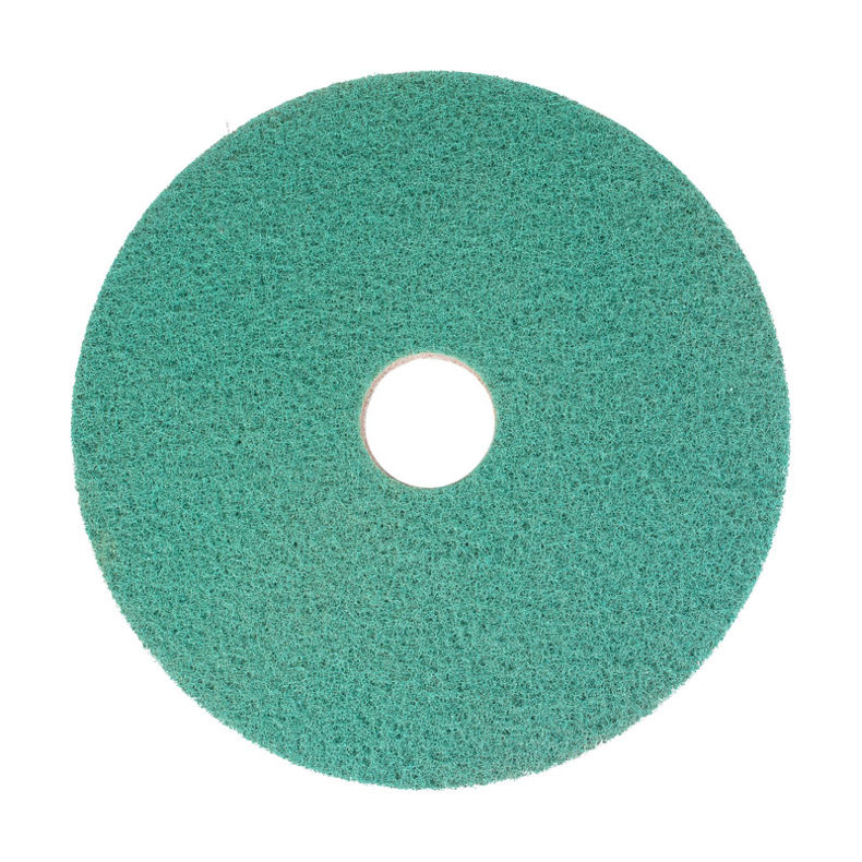 Afbeelding van Bright n Water Cleaning Pad 21"/53,3 cm Groen 2 stuks