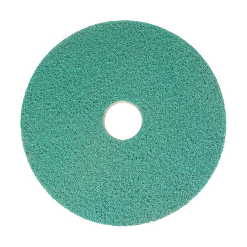 Afbeelding van Bright n Water Cleaning Pad 13"/33 cm Groen 2 stuks