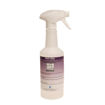 Avodesch RVS Olie 500 ml Sprayflacon