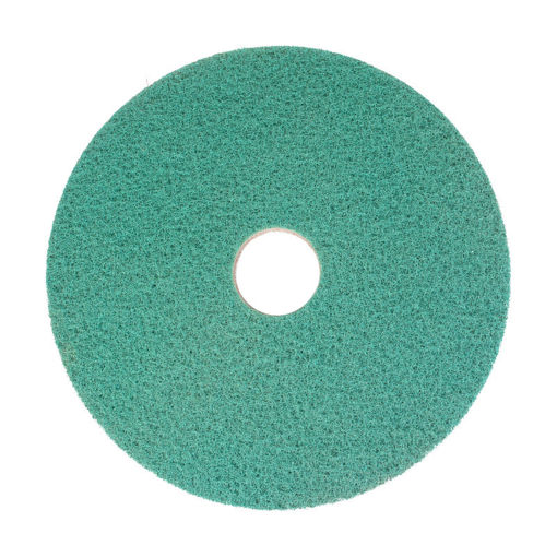 Afbeelding van Bright n Water Cleaning Pad 18"/45,7 cm Groen 2 stuks